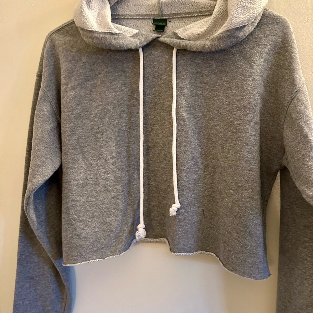 Wild Fable Heather Gray Cropped Sweatshirt